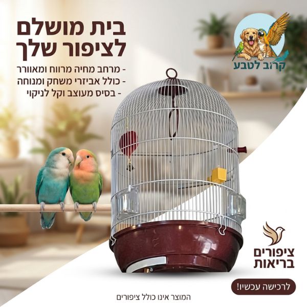 תמונת שיווק המציגה כלוב ציפורים דקורטיבי עגול עם בסיס בצבע בורדו, ולצידו צמד תוכים (ציפורי אהבה) בצבעי טורקיז וכתום יושבים על מוט עץ, על רקע סלון מטושטש ומואר. הכרזה כוללת כותרת בעברית "בית מושלם לציפור שלך", רשימת יתרונות, לוגו "ציפורים בריאות", וכפתור "לרכישה עכשיו!".