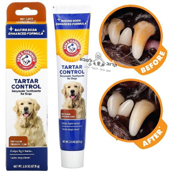 משחת שיניים לכלבים אנזימטית בטעם בקר 67.5 גרם ARM & HAMMER
