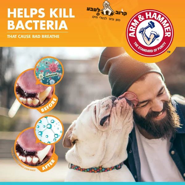 אדם משמח עם כובע מניח משחת שיניים אנזימטית ARM & HAMMER בטעם וניל ג'ינגר לכלב בחנות חיות קרוב לטבע