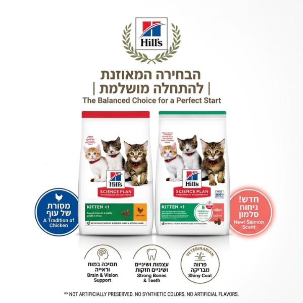 באנר שיווקי המציג שני שקי מזון יבש לגורי חתולים הילס סיינס פלאן קיטן בטעמי עוף וסלמון על רקע לבן באתר קרוב לטבע