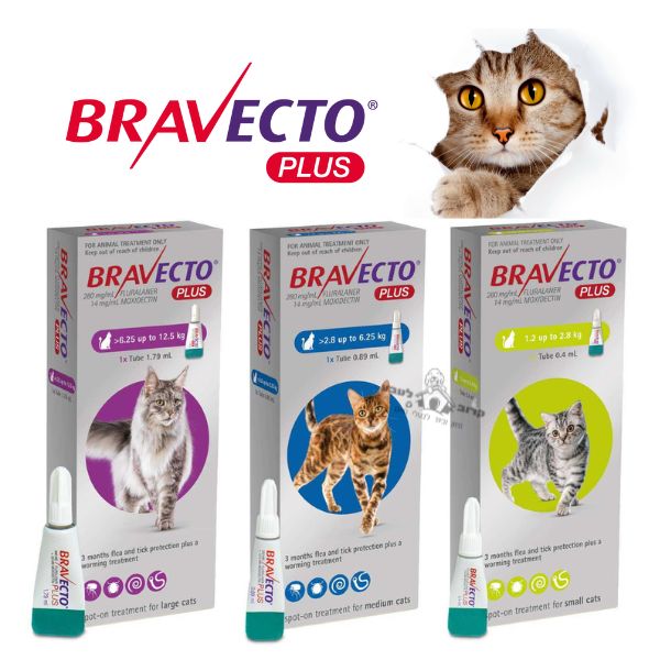 ברבקטו פלוס bravecto plus
