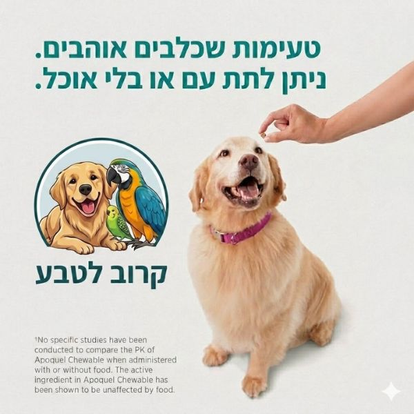אפוקוול לעיסה לכלב בטעימות גבוהה קרוב לטבע בהצגת מרשם