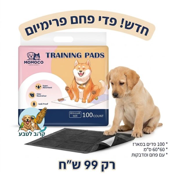 מארז פדים פחם פרימיום לאילוף כלבים MOMOCO בגודל 60 על 60 ס"מ לצד גור כלבים קטן ומפרט תכונות בעברית