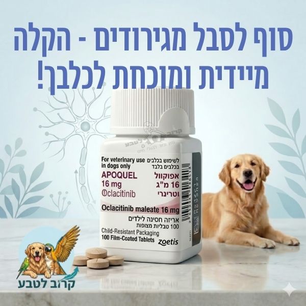 תרופה וטרינרית לכלב אפוקוול 16 מ"ג נגד גירודים ואטופיק דרמטיטיס