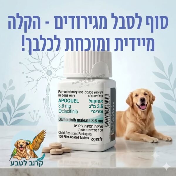 בקבוק אפוקוול לכלבים במינון 3.6 מ"ג על גבי רקע פרסומי תכלת של חנות קרוב לטבע עם תמונת כלב גולדן ריטריבר וכדורים על השולחן.